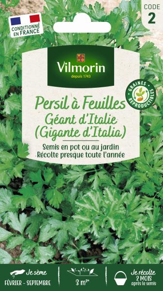 Aromatiques - Persil Gigante d'Italie (Géant d'Italie) - PACKAGING_RECTO